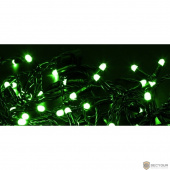 Neon-night 305-144 Гирлянда Нить 10м, постоянное свечение, черный ПВХ, 24В, цвет: Зелёный