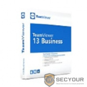 TV-BUS-SUB TeamViewer Business годовая лицензия