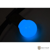 Neon-night 401-113 Лампа накаливания e27 10 Вт синяя колба