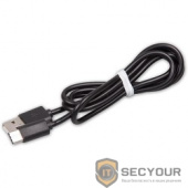 RITMIX Кабель USB Type C-USB для синхронизации/зарядки, 1м Black (RCC-330)
