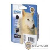 EPSON C13T09614010 Epson картридж для  R2880 (Photo Black) (cons ink)