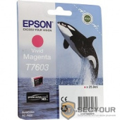 EPSON C13T76034010 SC-P600 Magenta (cons ink)
