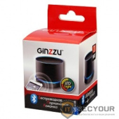 Ginzzu GM-870B {3Вт, 150Гц-18КГц, 300мАч, microSD, USB-flash, FM-радио, светодиодная подсветка музыкального сопровождения, цвет: черный}