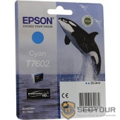 EPSON C13T76024010 SC-P600 Cyan (cons ink)