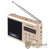 Perfeo мини-аудио Sound Ranger, УКВ+ FM, MP3 (USB/TF), USB-audio, BL-5C 1000mAh, шамп.золот (SV922AU)