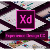 65278897BA01A12 Adobe XD CC for teams ALL Multiple Platforms Multi European Languages Team Licensing Subscription New Level 1 [1 - 9]