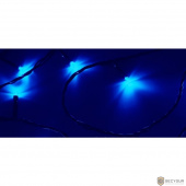 NEON-NIGHT (303-043) Гирлянда &quot;Твинкл Лайт&quot; 10 м, темно-зеленый ПВХ, 80 LED, цвет: Синий