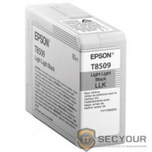 EPSON C13T850900 Картридж Epson T8509 для SC-P800 Light Light Black, 80 мл. (cons ink)