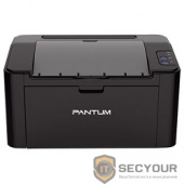 Pantum P2207 (принтер, лазерный, монохромный, А4, 20 стр/мин, 1200 X 1200 dpi, 64Мб RAM, лоток 150 листов, USB, черный корпус)