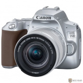 Canon EOS 250D серебристый {24.1Mpix EF-S 18-55mm f/1:4-5.6 IS STM 3&quot; 4K Full HD SDXC Li-ion}
