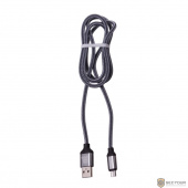 Harper USB - microUSB, BRCH-310 SILVER (1м, способны заряжать устройства до 2х ампер)