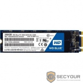 WD SSD M.2 250Gb WDS250G2B0B
