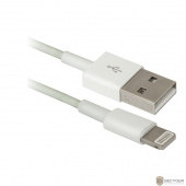 Defender USB кабель ACH01-03H USB(AM)-Lightning(M), 1м пакет (87470)	