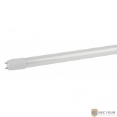 ЭРА Б0032999 Светодиодная лампа трубка LED smd T8-10w-840-G13 600mm (поворотный цоколь)